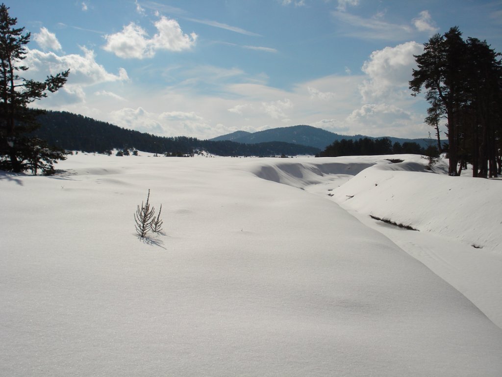DSC05262.JPG