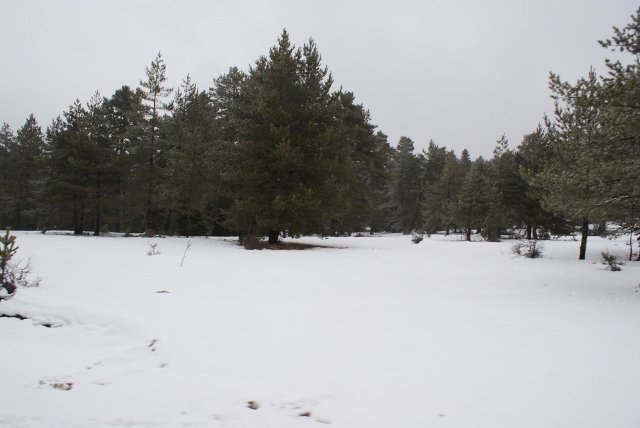DSC05288 (640x428).jpg
