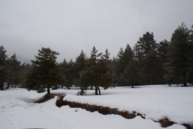 DSC05289 (640x428).jpg