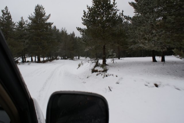 DSC05290 (640x428).jpg