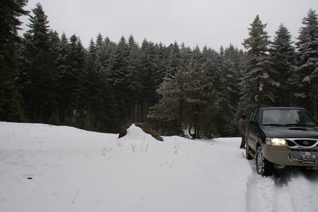 DSC05297 (640x428).jpg