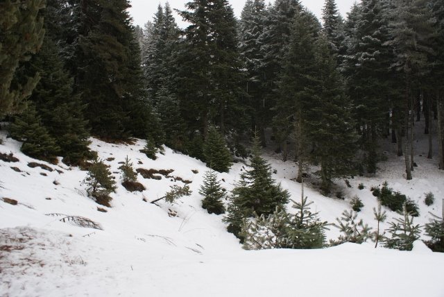 DSC05304 (640x428).jpg