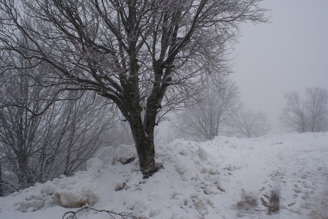 DSC05344 (640x428).jpg