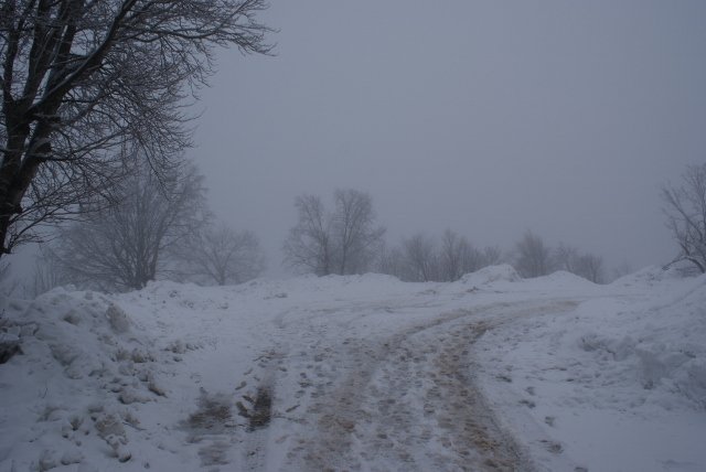 DSC05345 (640x428).jpg