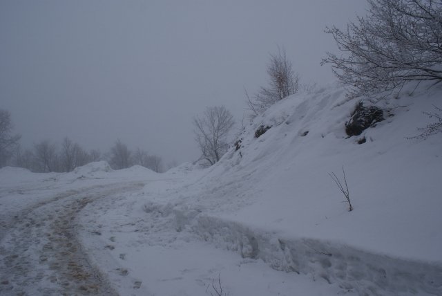 DSC05346 (640x428).jpg