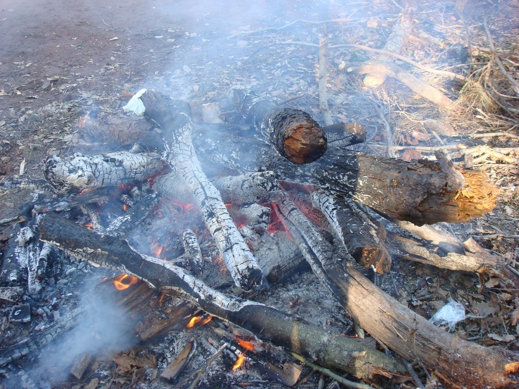 DSC05352.JPG