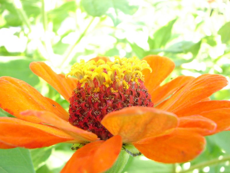 DSC05395.jpg