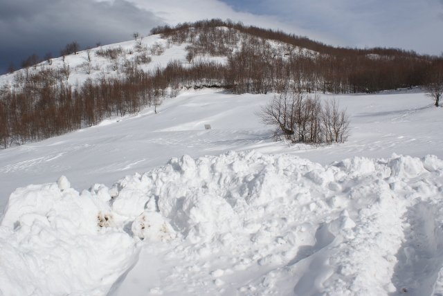 DSC05402 (640x428).jpg