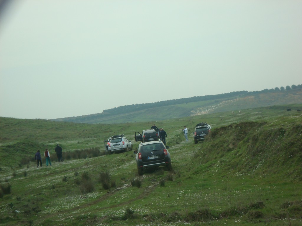 DSC05416.JPG