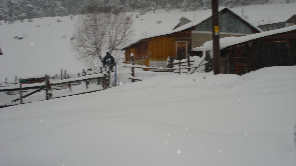 DSC05428.JPG