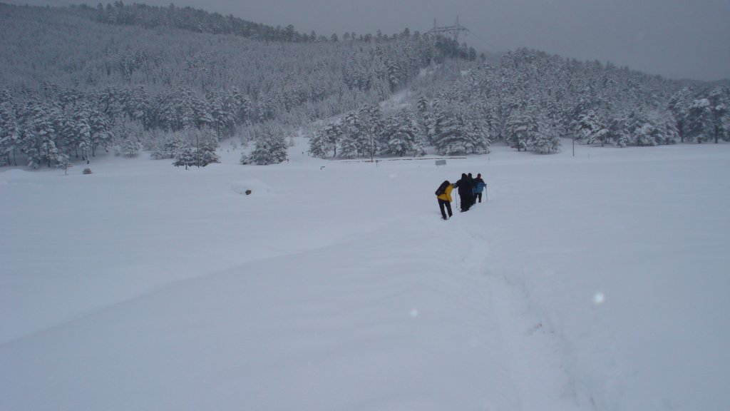 DSC05432.JPG