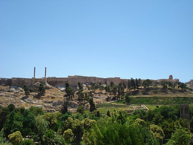 DSC05462.JPG