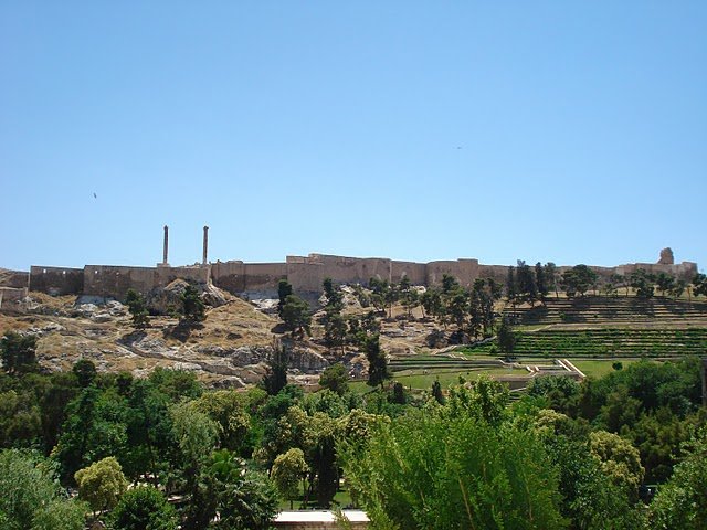 DSC05463.JPG
