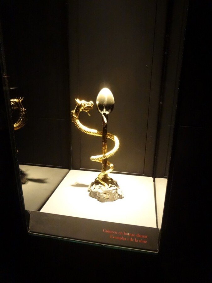 DSC05523 (Large).JPG