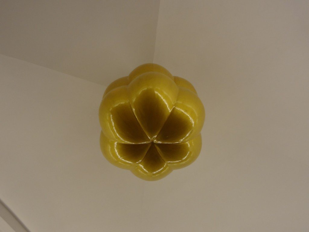 DSC05533 (Large).JPG