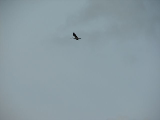 DSC05589.jpg