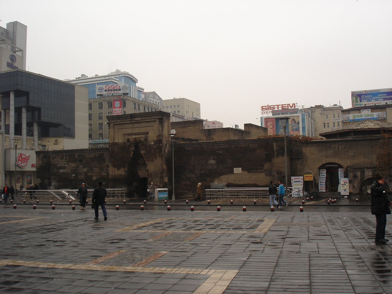 DSC05594.jpg