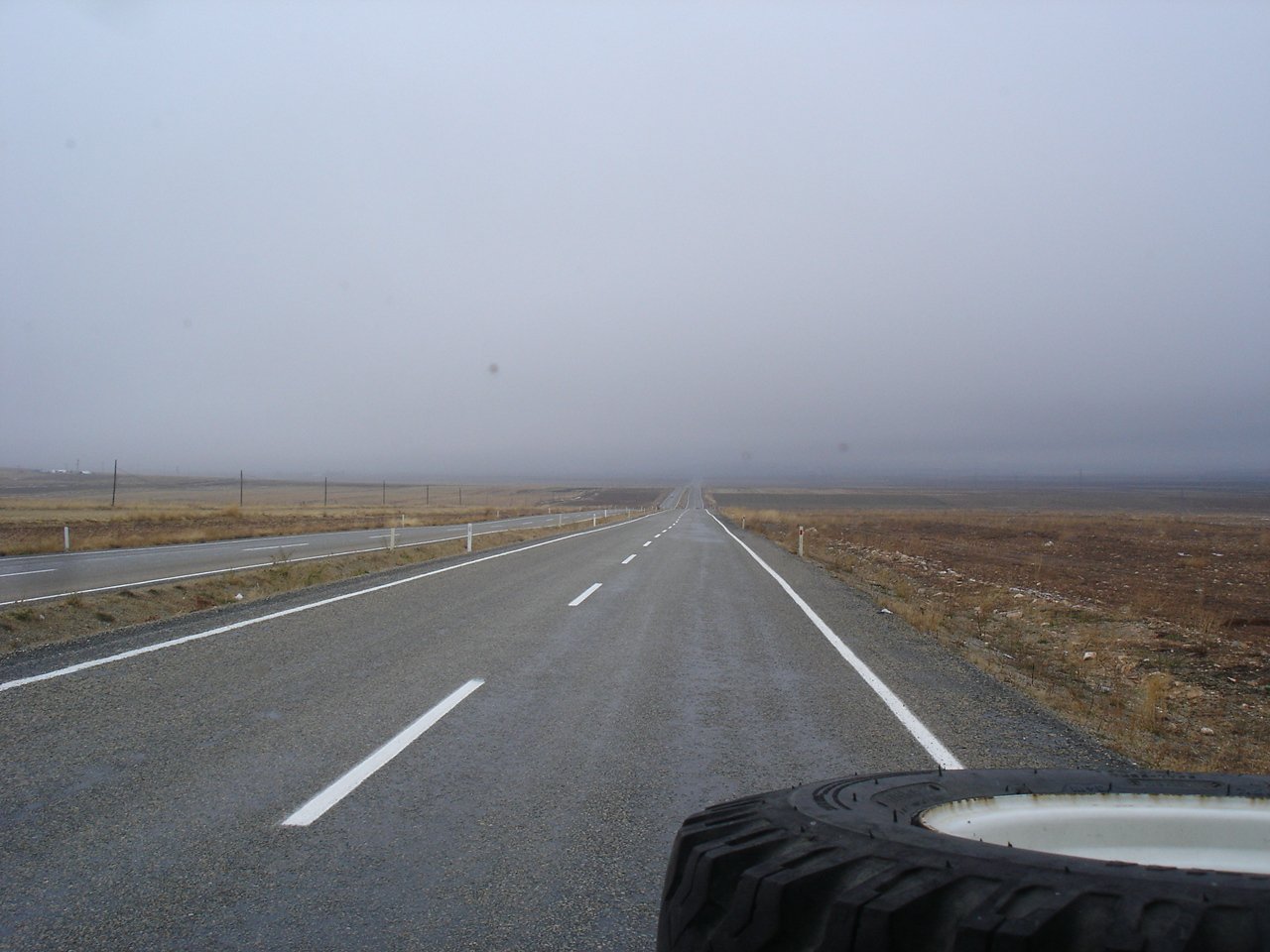 DSC05758.jpg
