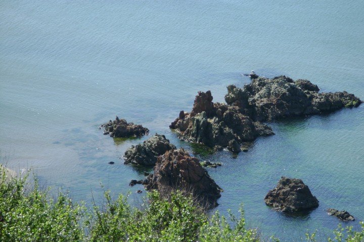 DSC05762Small.jpg