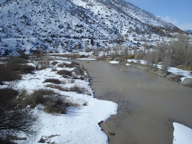 DSC05775.JPG