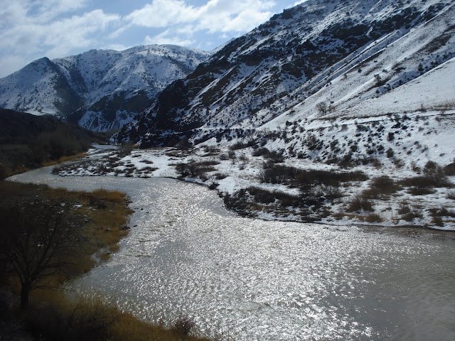 DSC05777.JPG