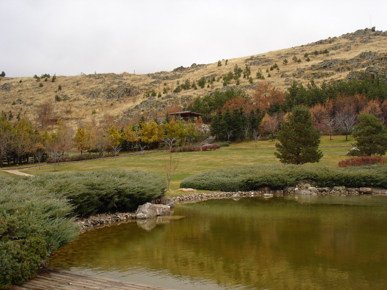 DSC05789.jpg