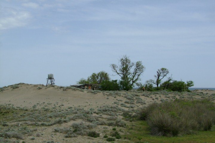 DSC05803Small.jpg