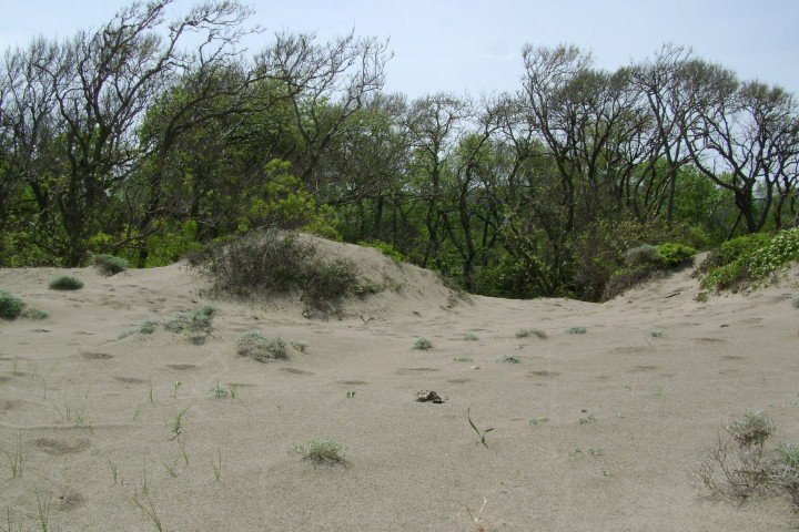 DSC05815Small.jpg