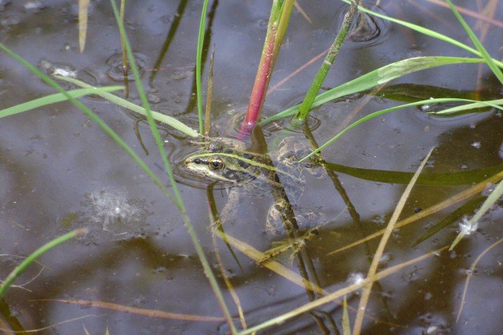 DSC05830Small.jpg