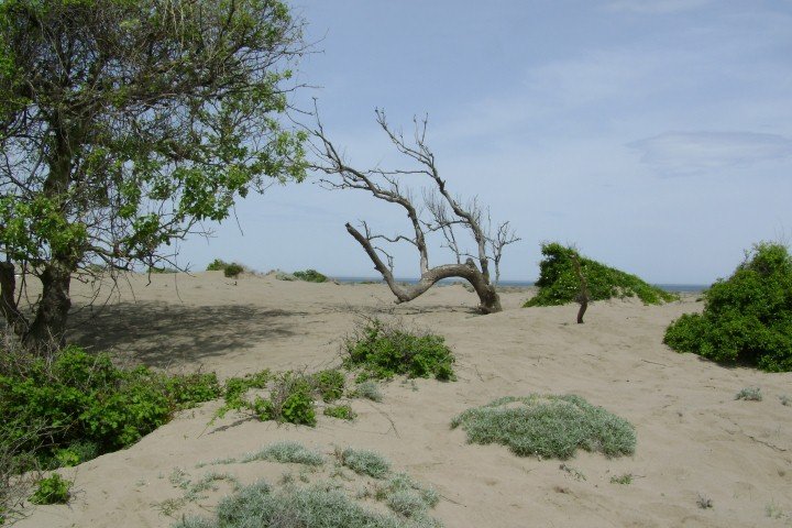 DSC05836Small.jpg