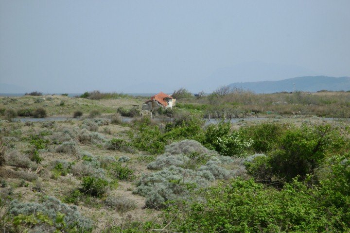 DSC05841Small.jpg