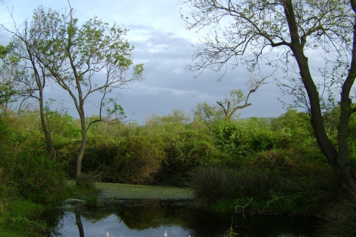 DSC05863Small.jpg