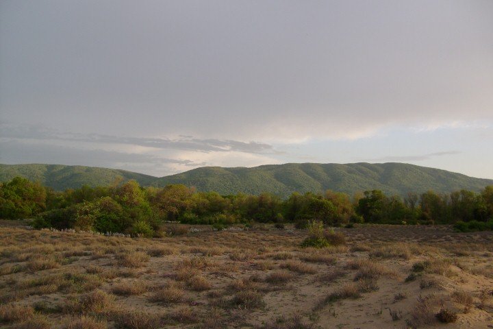 DSC05871Small.jpg