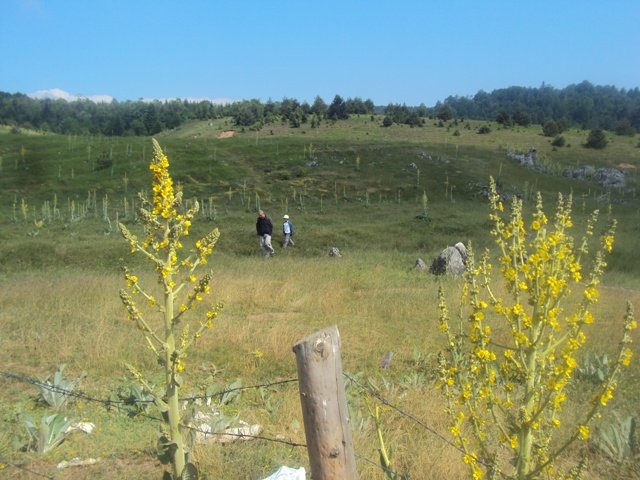 DSC05979.JPG