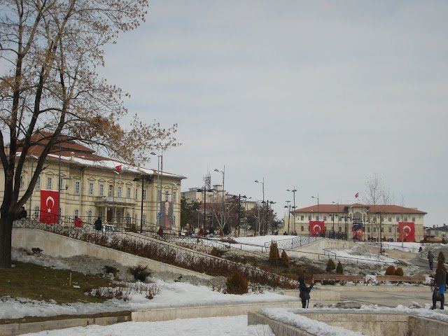 DSC05989.JPG