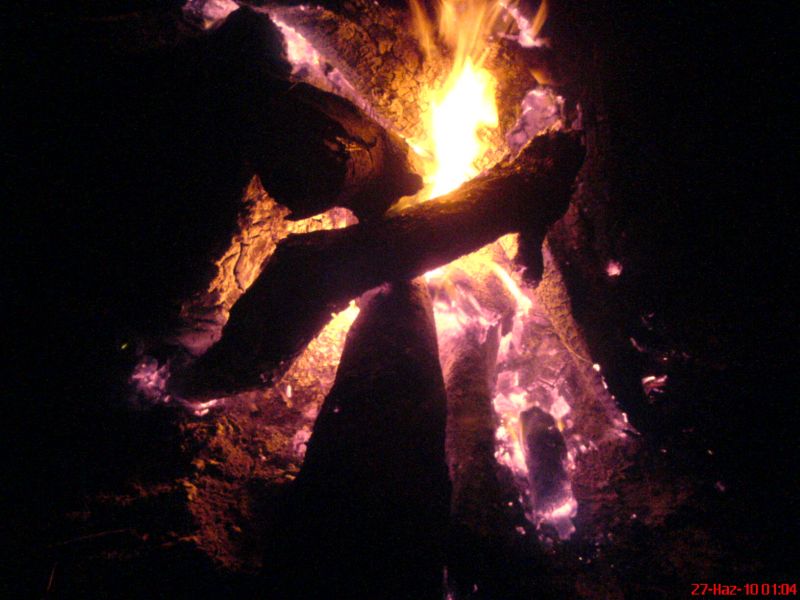 DSC06065.jpg