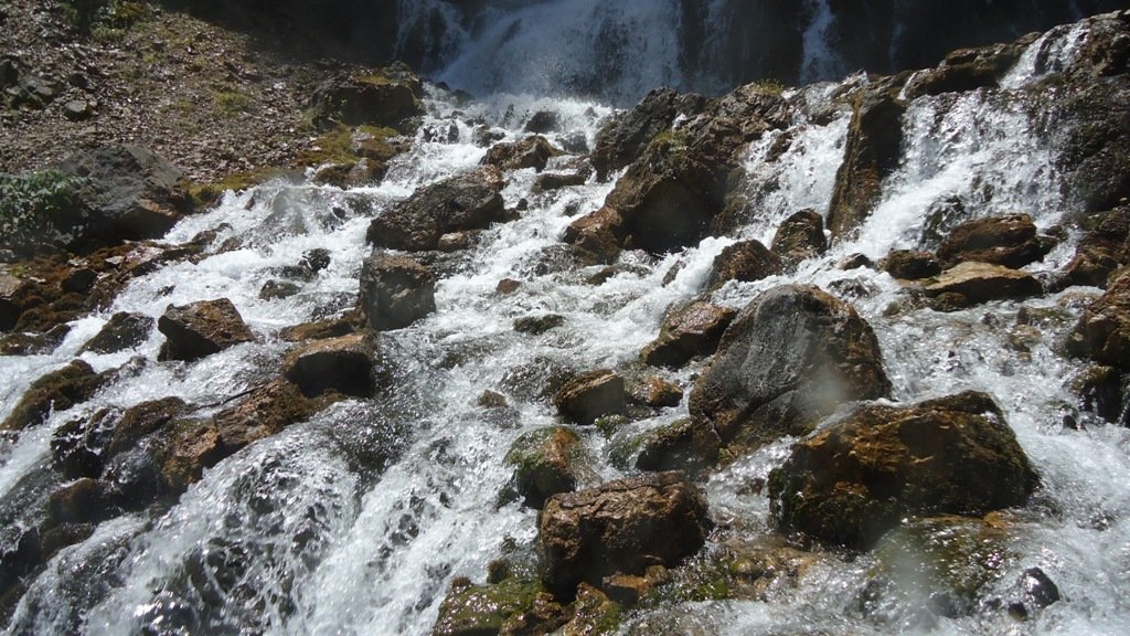 DSC06066.JPG