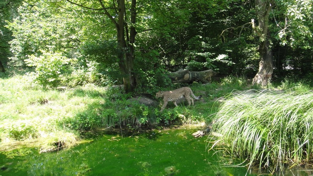 DSC06070.JPG