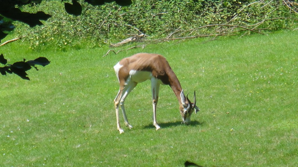 DSC06079.JPG