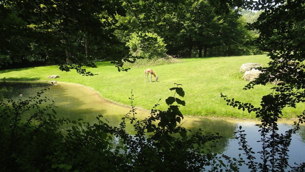 DSC06080.JPG