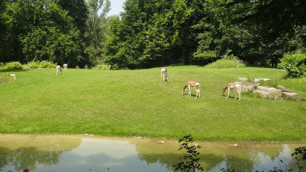 DSC06084.JPG