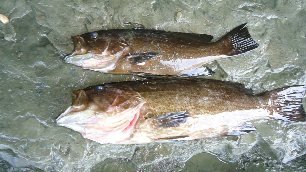 DSC06114.JPG