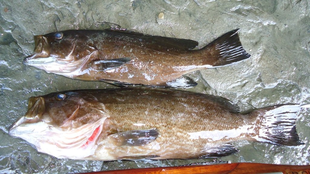 DSC06116.JPG