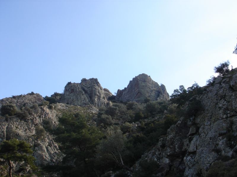 DSC06170.jpg