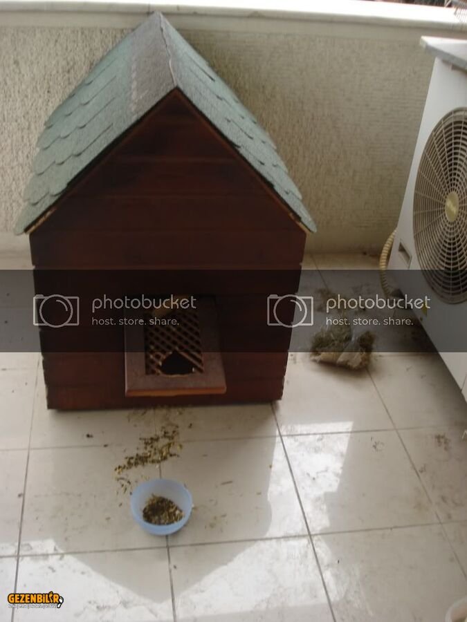 DSC06177.jpg