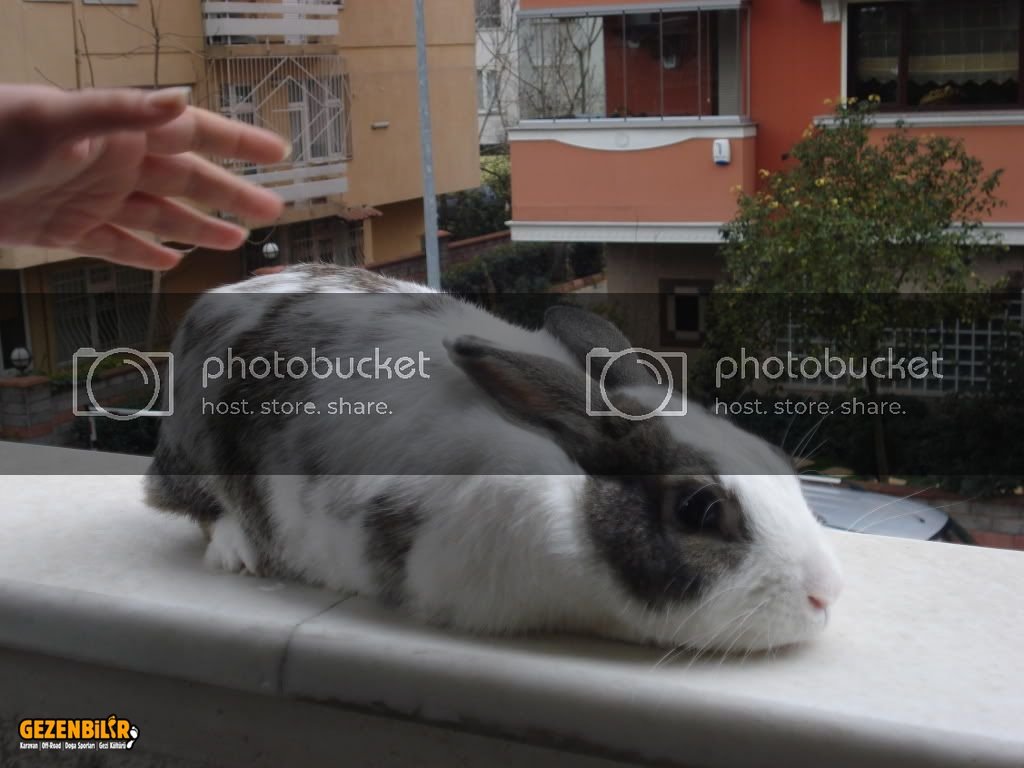 DSC06178.jpg