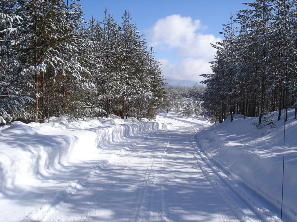 DSC06227.JPG