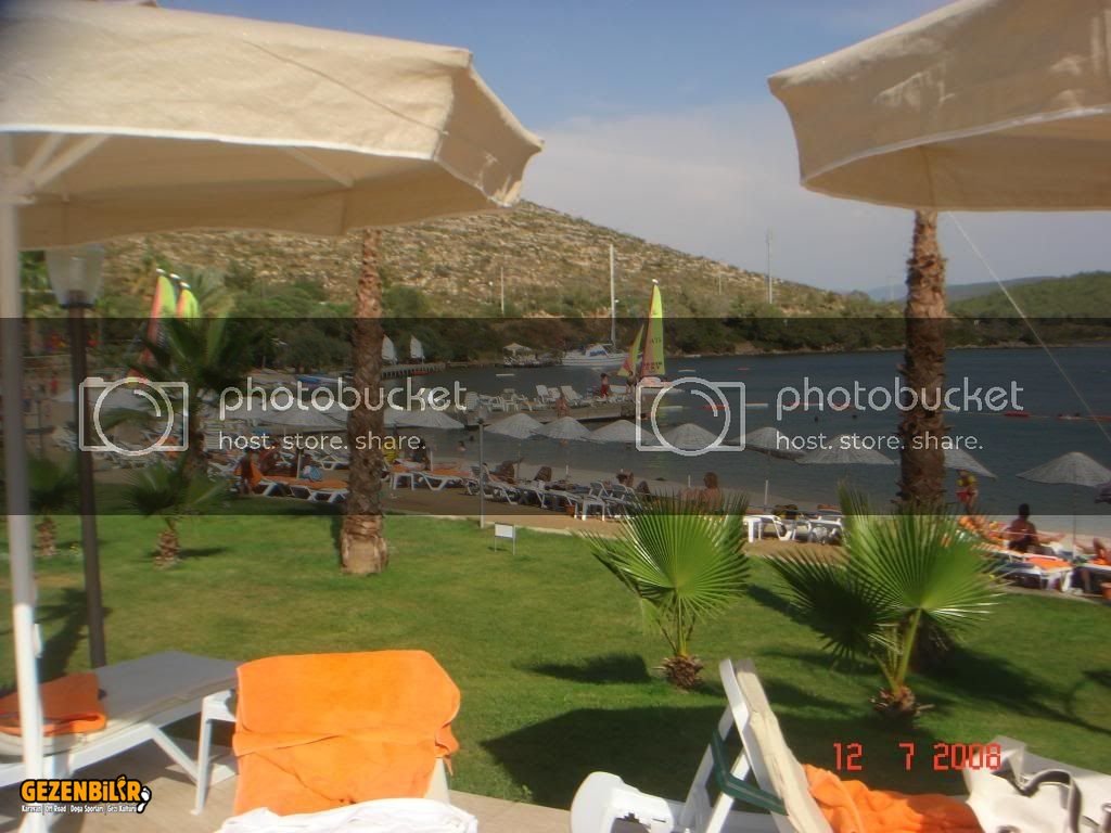 DSC06230.jpg