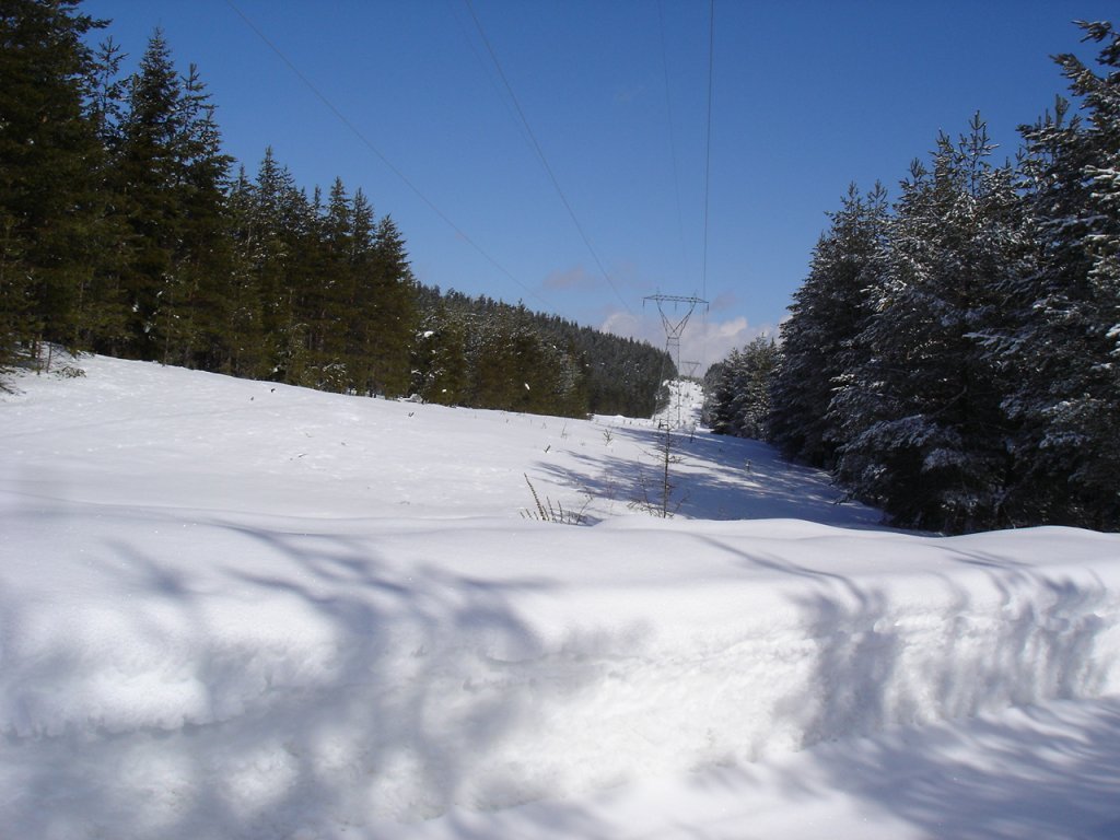 DSC06239.JPG