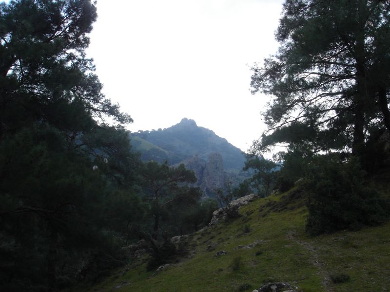 DSC06245.jpg